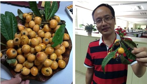 柔性線路板廠帶您一起采摘初夏的果實(shí)