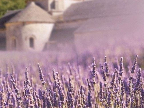 fpc廠星座大課堂：年底最幸運的五大星座