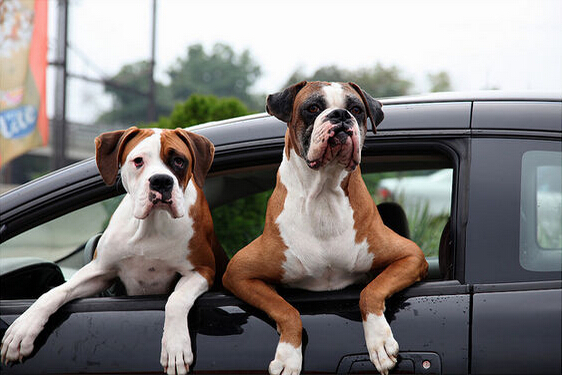 柔性電路板生產(chǎn)廠家:夏天開空調(diào)跟開車窗哪個(gè)更費(fèi)油？