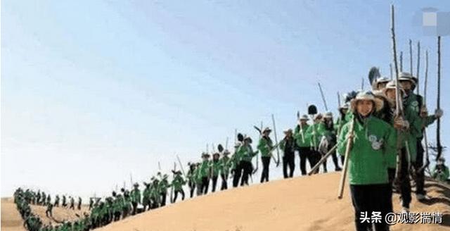 軟板廠之馬云“天價(jià)”造的螞蟻森林， 現(xiàn)在長成啥樣了？