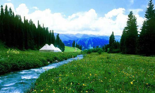 柔性電路板廠家