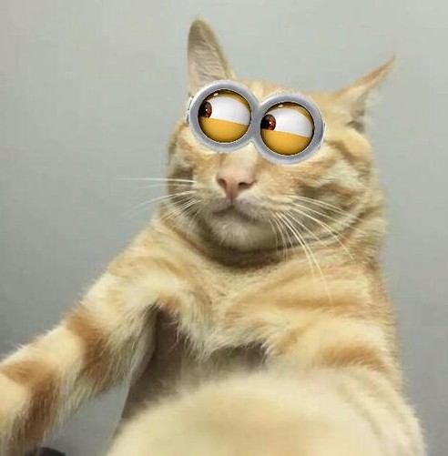 柔性線路板廠家